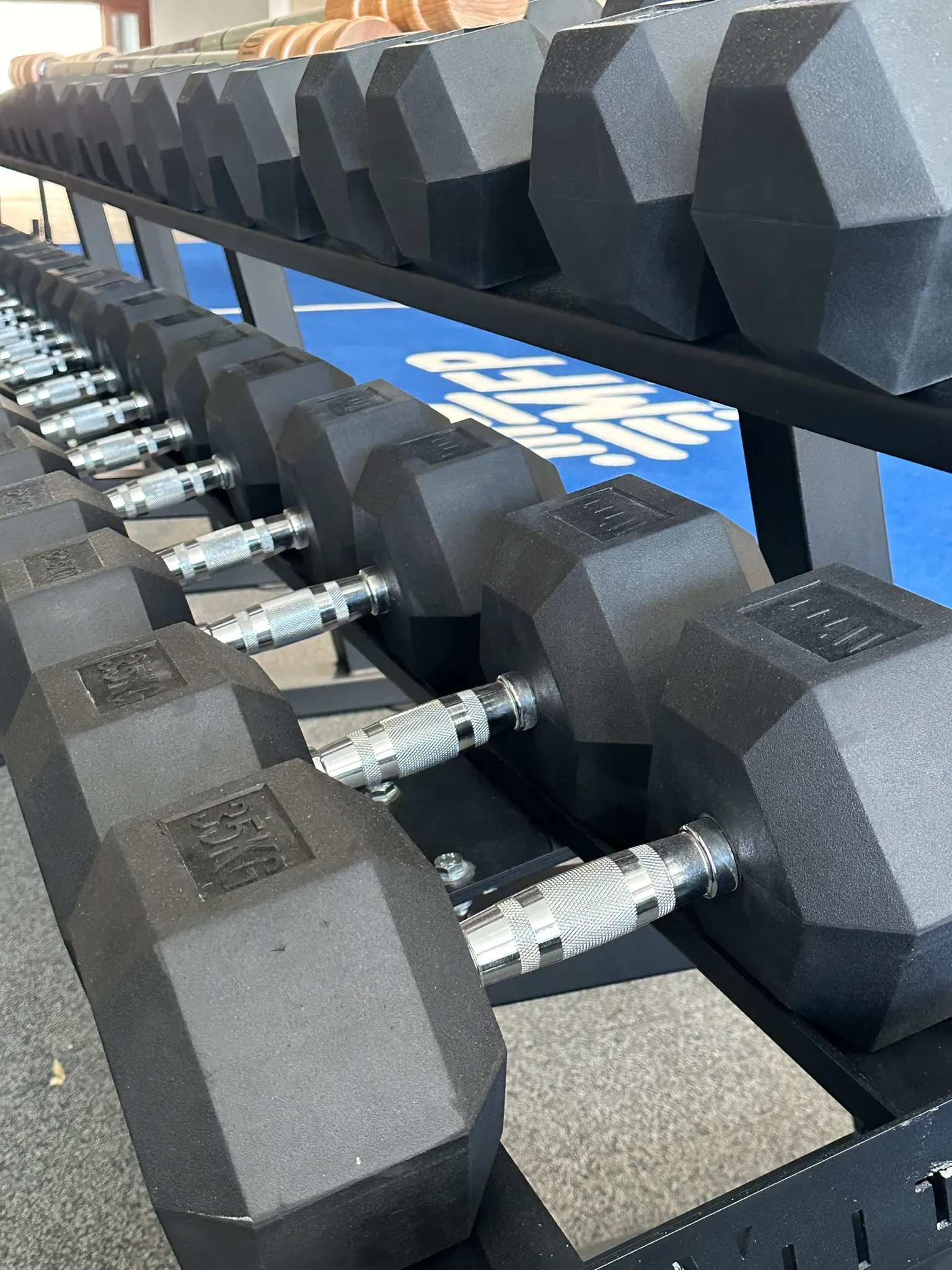 Le rack d'haltères et le logo MFP Sport au sol